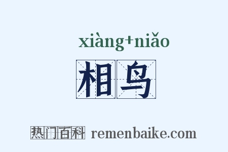 相鸟是什么意思的图片
